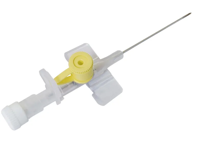 G24 (1)