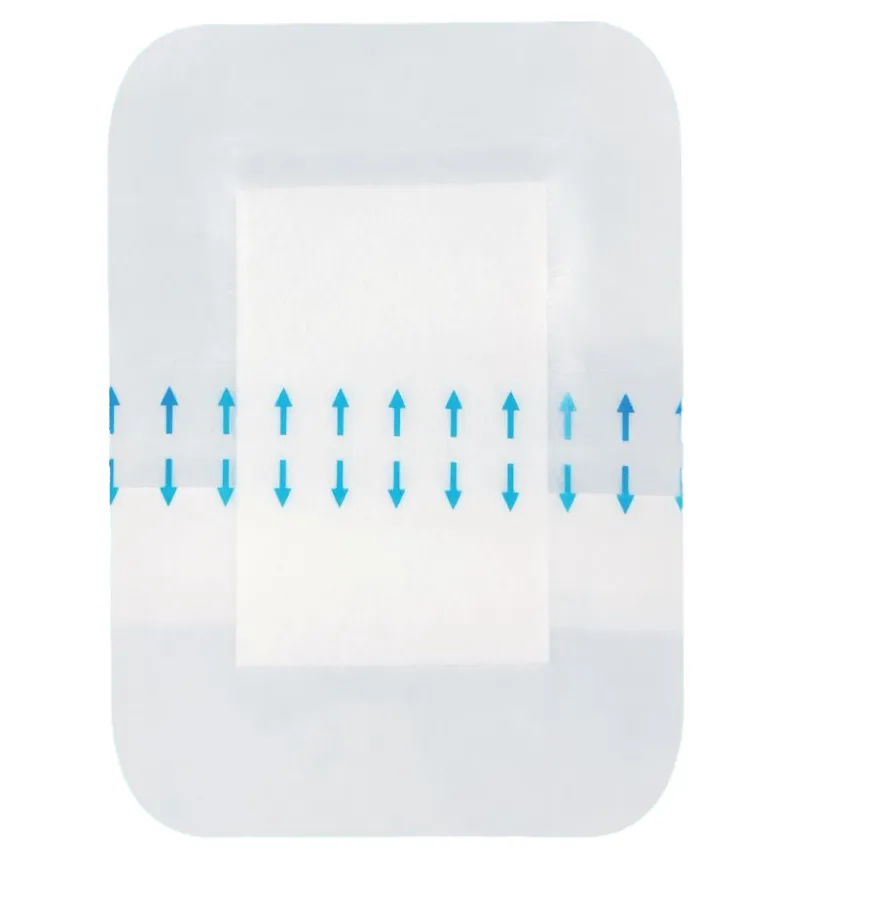 108 305-PhotoRoom.png-PhotoRoom