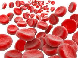 Особенности преаналитического этапа при выполнении общего клинического анализа крови на автоматических гематологических анализаторах.