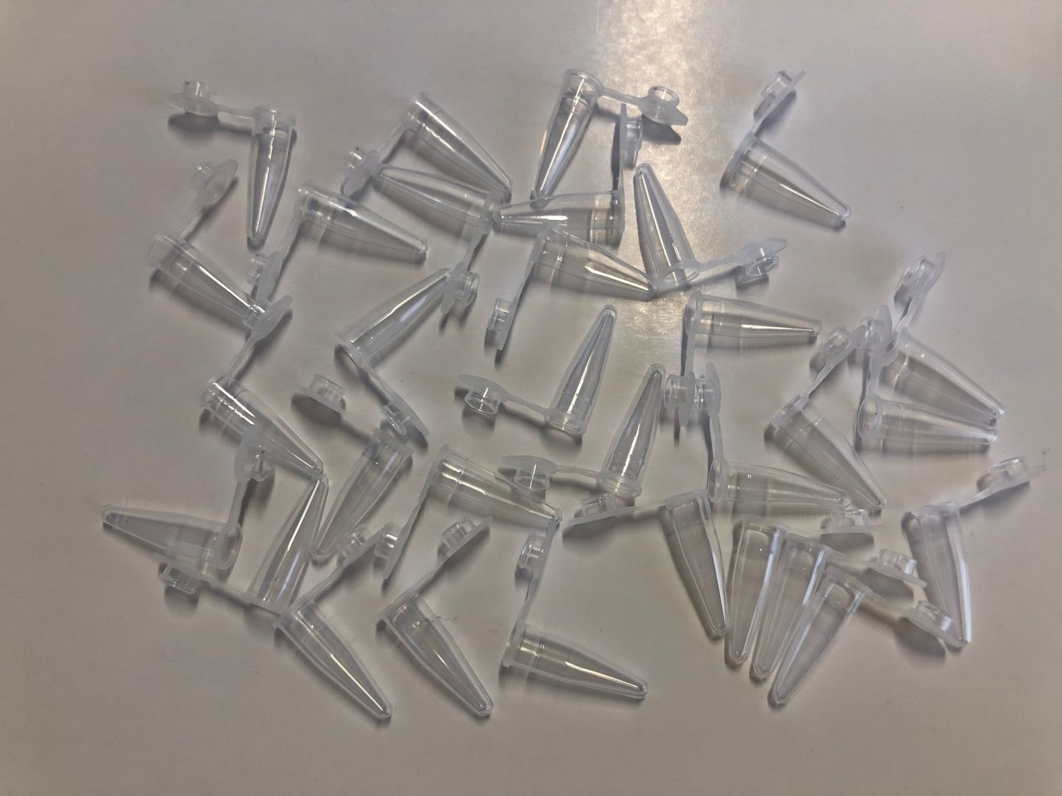 1009