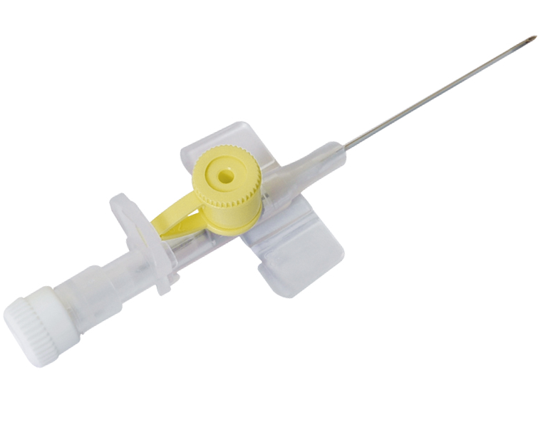 G24 (1)