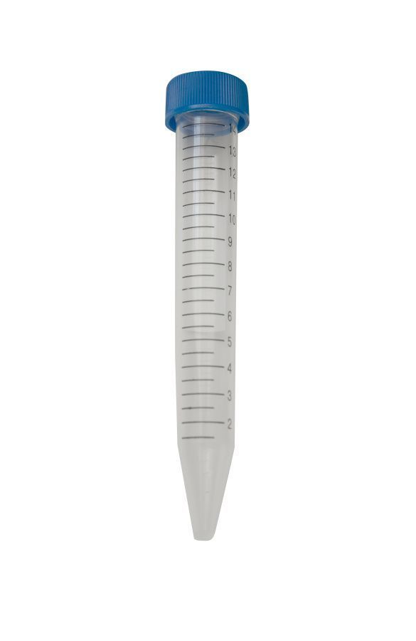 IMG_0908 — копия