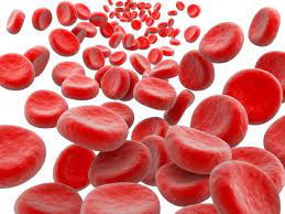 Особенности преаналитического этапа при выполнении общего клинического анализа крови на автоматических гематологических анализаторах.