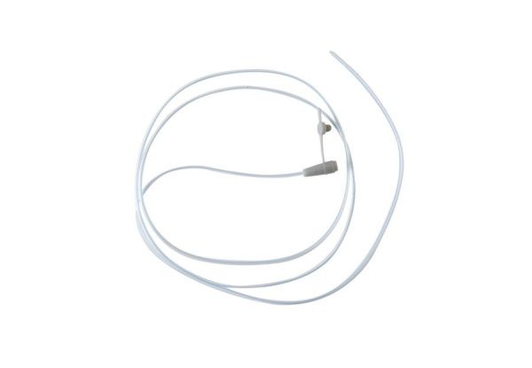 IMG_1104 — копия